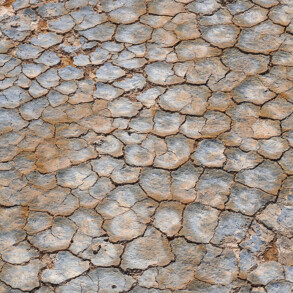 CRACKED SOIL 2