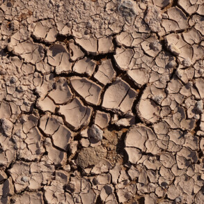 CRACKED SOIL 1