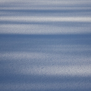 SNOW AND SHADOW