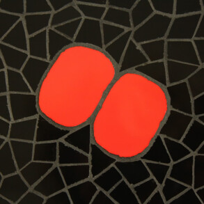 SUN SEA CELL (DETAIL)